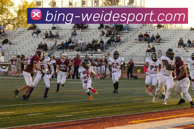 伟德体育平台生态图