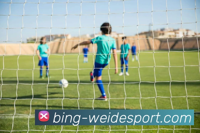 伟德体育APP 封面图